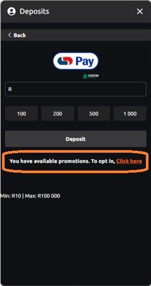 World Sports Betting deposit screen showing the available promotions link