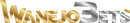 Click to go to WanejoBets casino