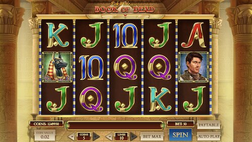Book of Dead slot by Play'n GO